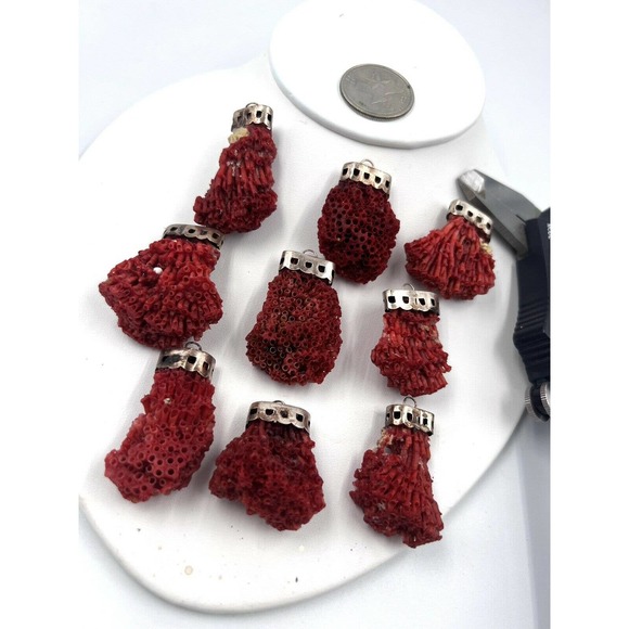 COPY - Natural Red Pipe Coral Pendant 925 Starling Silver Cape Buyer Will Get 1… - Picture 6 of 9